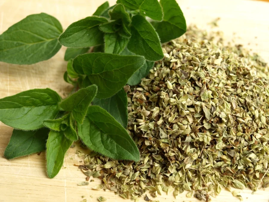 Fresh green herb leaves beside a pile of dried, crumbled herbs