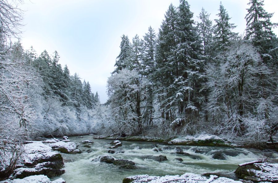 A cold river running between snow-covered rocks and frosted evergreen trees