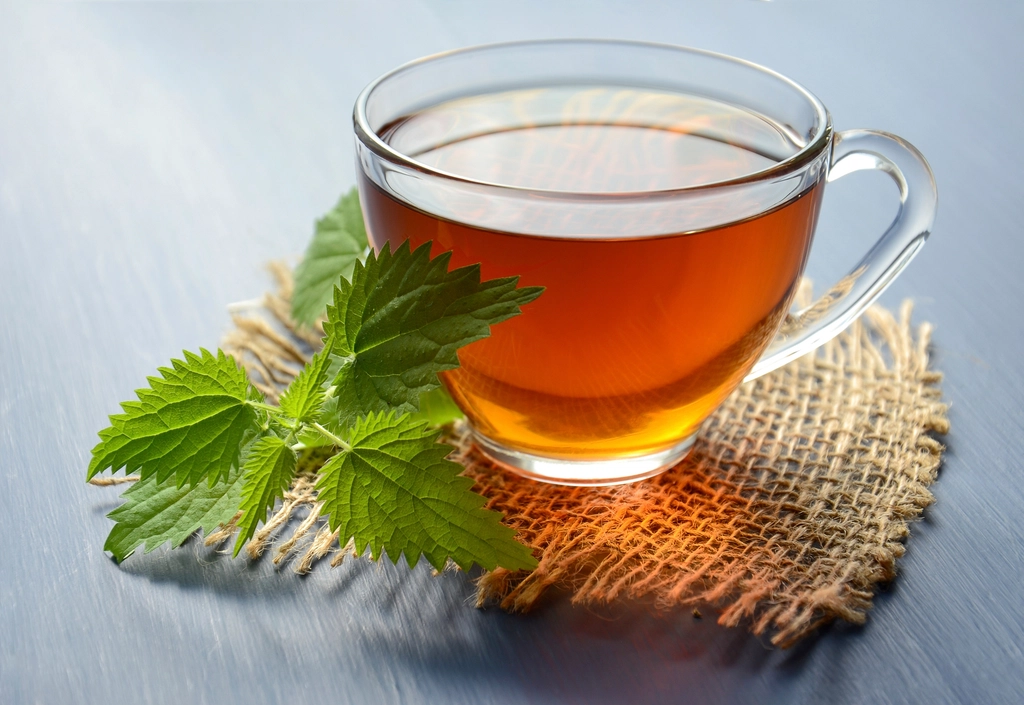 A glass cup of herbal tea next to fresh nettle leaves on burlap